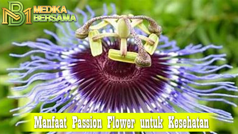 Manfaat Passion Flower untuk Kesehatan