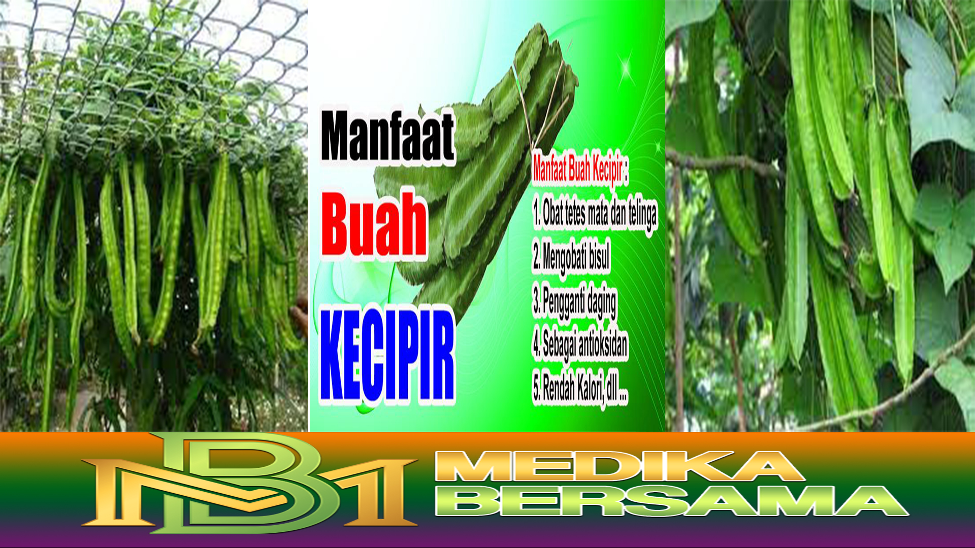 Manfaat Kecipir