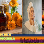 Manfaat Calendula untuk Kesehatan Kulit