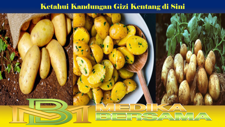 Ketahui Kandungan Gizi Kentang di Sini