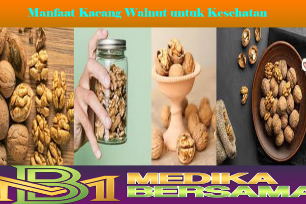 Manfaat Kacang Walnut untuk Kesehatan