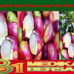 Manfaat Buah Matoa yang Perlu Diketahui