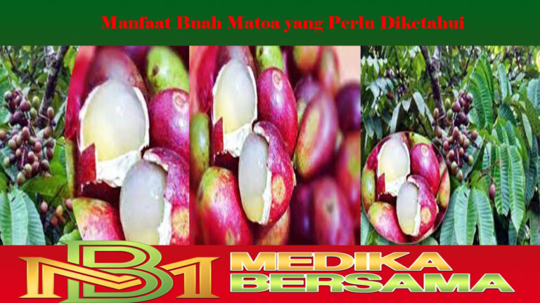 Manfaat Buah Matoa yang Perlu Diketahui