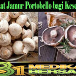 Manfaat Jamur Portobello bagi Kesehatan