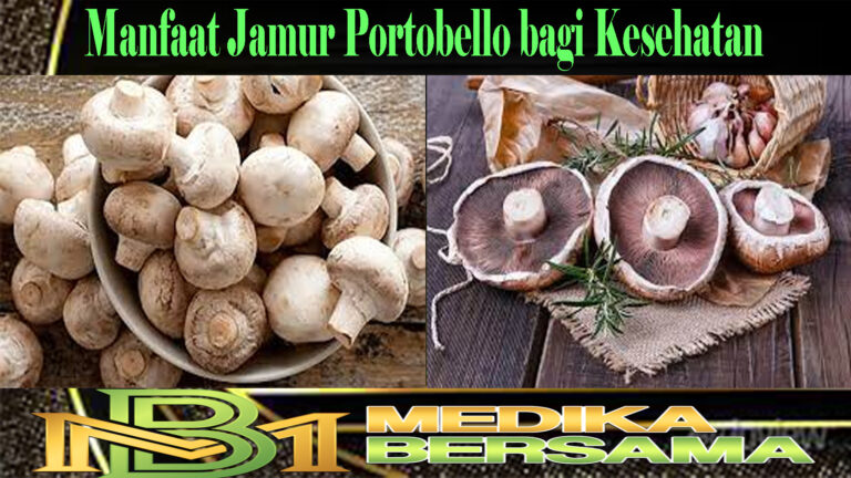 Manfaat Jamur Portobello bagi Kesehatan