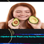 Manfaat Alpukat