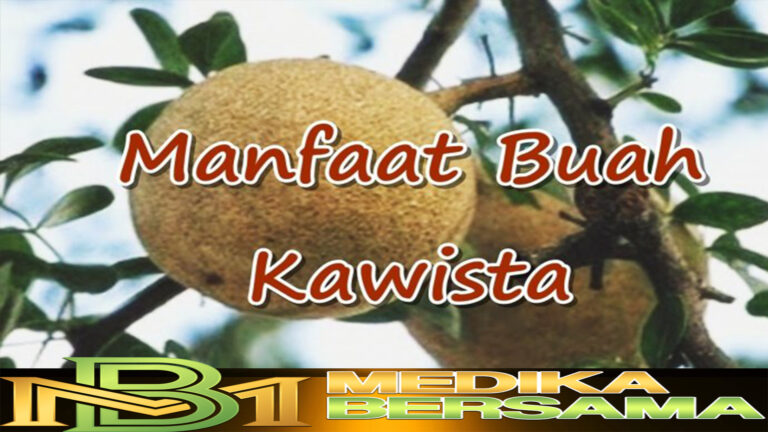 Buah Kawis, Buah yang Sangat Berguna buat Kesehatan Tubuh  