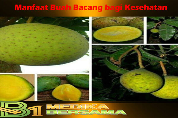 Manfaat Buah Bacang bagi Kesehatan