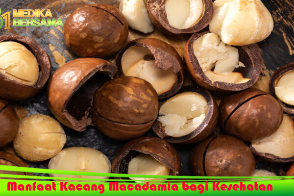 Manfaat Kacang Macadamia bagi Kesehatan