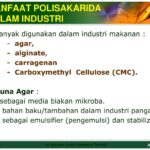 Fungsi Polisakarida untuk Kesehatan